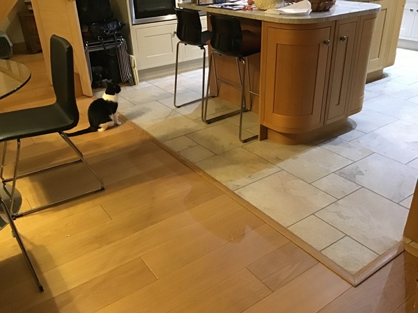 What flooring with oak doors?