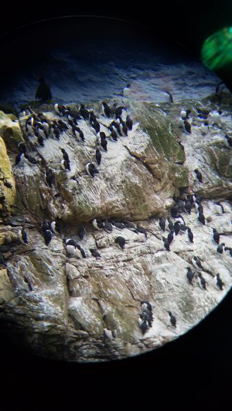 Any Witches Here? Part 7.