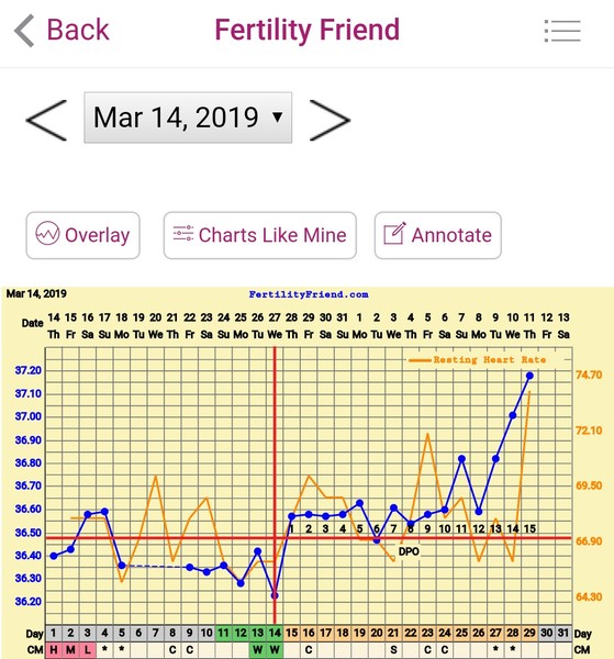 TTC after pregnancy loss - Thread 29 - huddle up and bring on the BFP's!