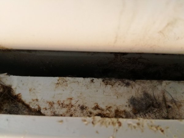 Holiday Cottage Dirt photos ...