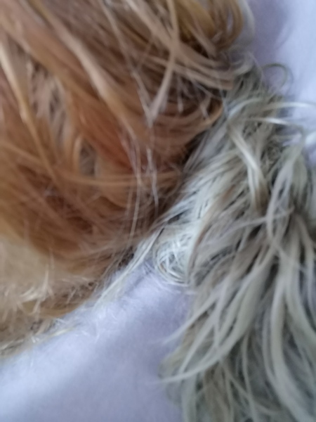 Any colourists? My hair is green...
