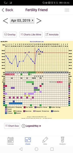 The July 19ers - The rollercoaster continues, scream if you wanna go faster