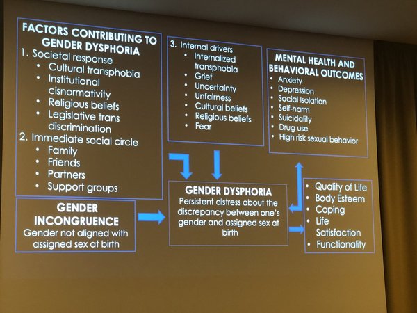 Are there identifiable causes for being trans?