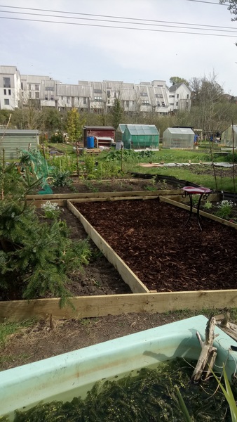 Allotment?Veg Patch Thread 13! Are we weathering the weather?