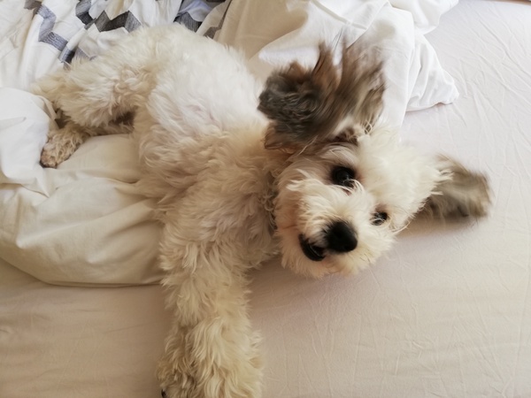 AIBU to post a happy picture