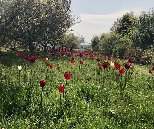 Visiting Kew Gardens - deals?