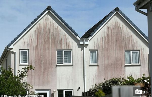 New Barratt homes covered in 'black mould'?