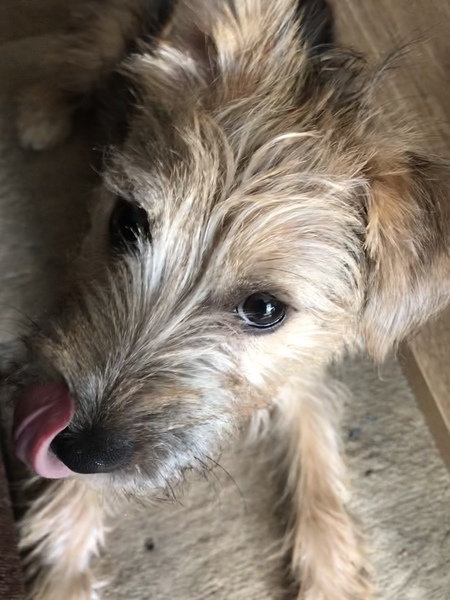 AIBU to post a happy picture