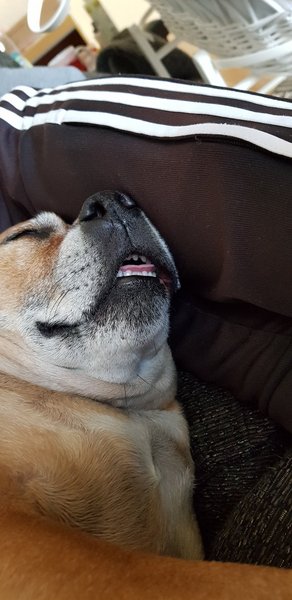 AIBU to post a happy picture