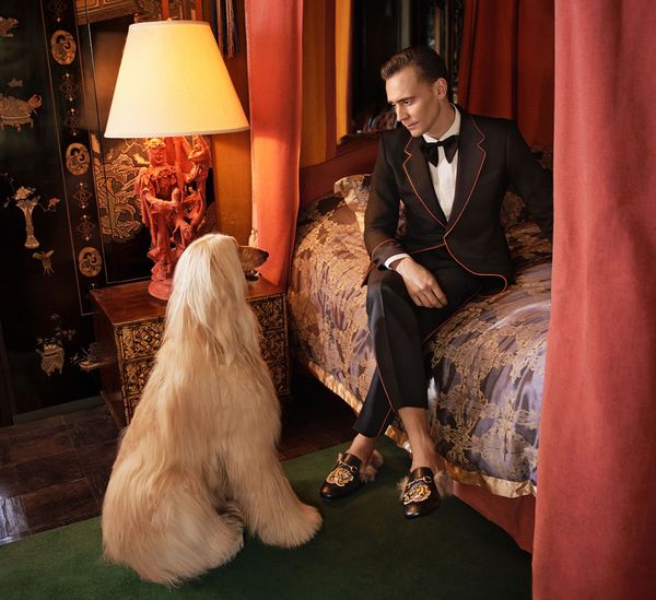 Please watch this horrific Tom Hiddleston advert
