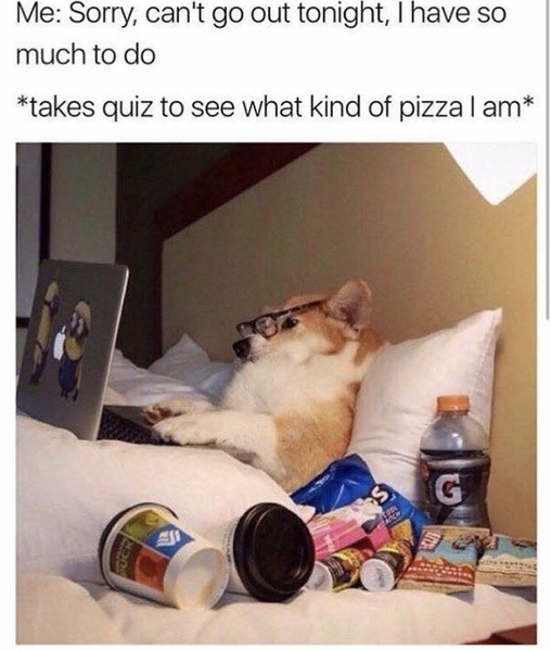 Please share your funny memes or pictures.