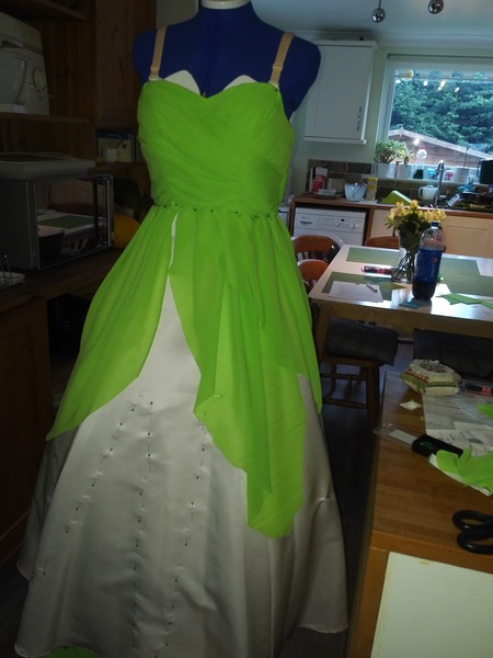 Does anyone know what the back of Disney;s Princess Tiana's dress looks like?