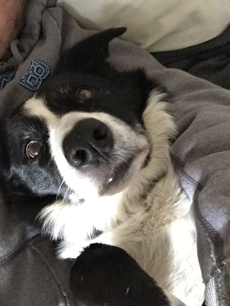 AIBU to post a happy picture