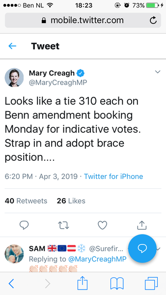 Westminstenders: The May Compromise