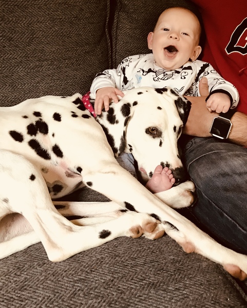 My girl waited for my baby to come home and then passed away :(
