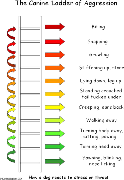 Boy 10 mauled to death at holiday park