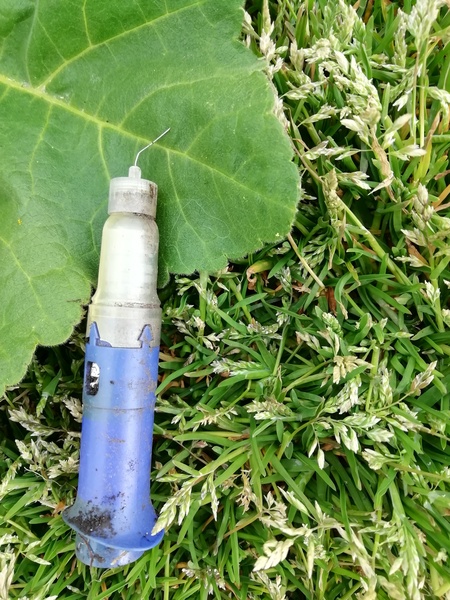 Does anyone know what this might be?