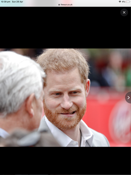 To find the royal family fascinating?