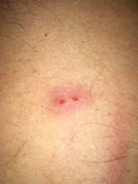 To ask what the hell you think this is?