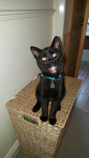 AIBU to post a happy picture