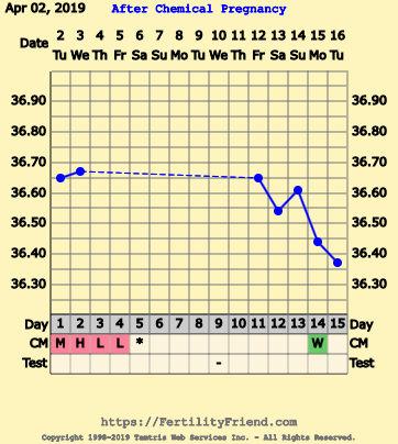 First Pregnancy Missed Miscarriage