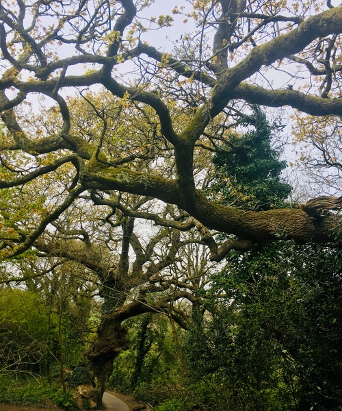 Any Witches Here? Part 7.