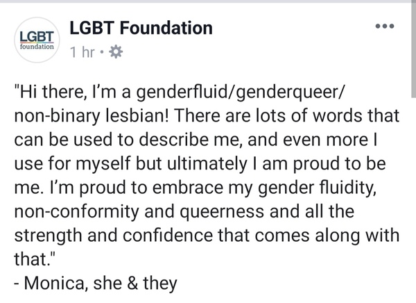 In general, what do you feel about The LGBT Foundation using a 'gender fluid' person to promote lesbian visibility day?
