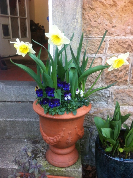 Westminstenders: For Whom the Bell Tolls