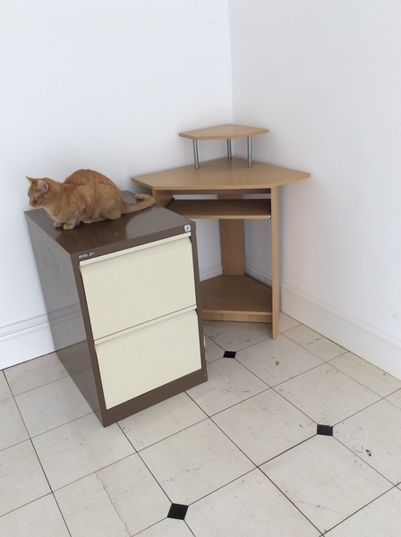 Westminstenders: 1001 Ways to wait for EUCO - Sprouts, Nits and Brexit