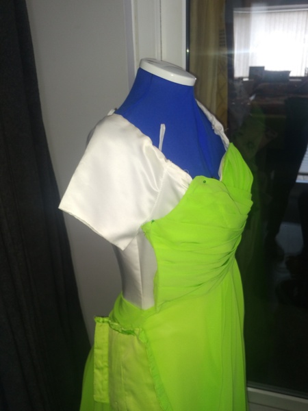 Does anyone know what the back of Disney;s Princess Tiana's dress looks like?
