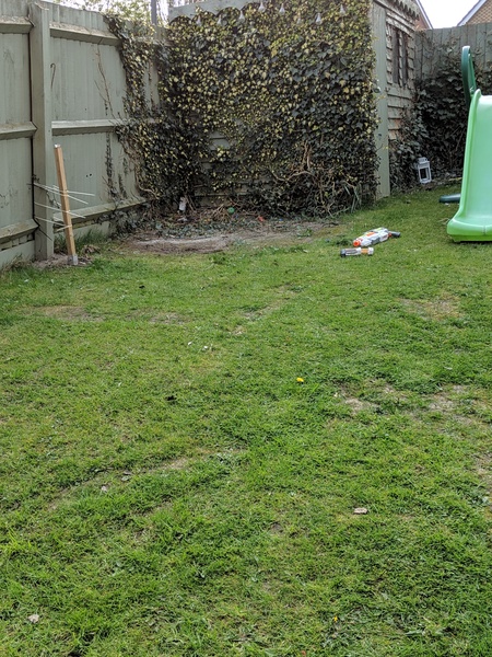 Ideas for transforming a small corner of garden, for next to nothing