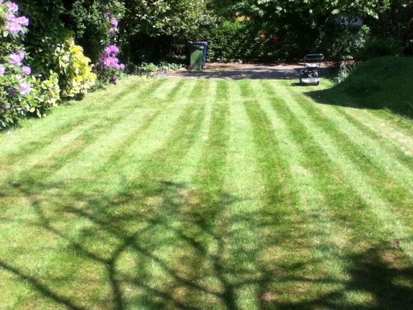 Westminstenders: The Schlong Extension