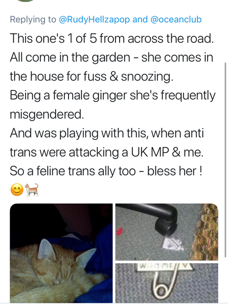 … to think that correcting people about the sex of your dog is idiotic?