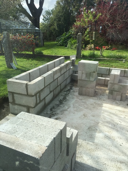 Allotment?Veg Patch Thread 13! Are we weathering the weather?