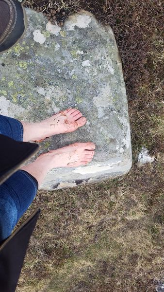 Any Witches Here? Part 7.