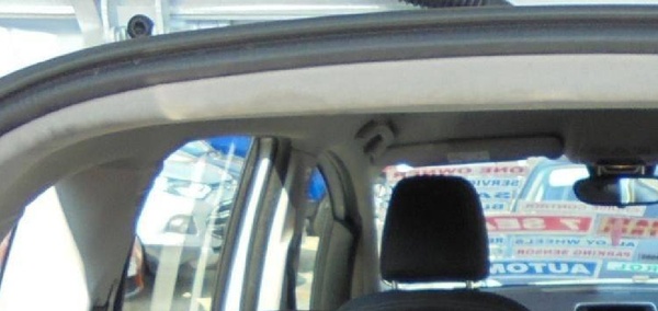 Can somebody tell if a dog has been present in this vehicle
