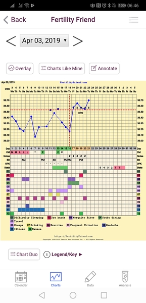 The July 19ers - The rollercoaster continues, scream if you wanna go faster