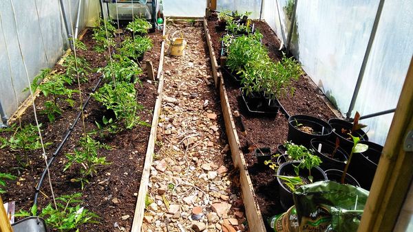 29th March "Grow your own" newcomers welcome here