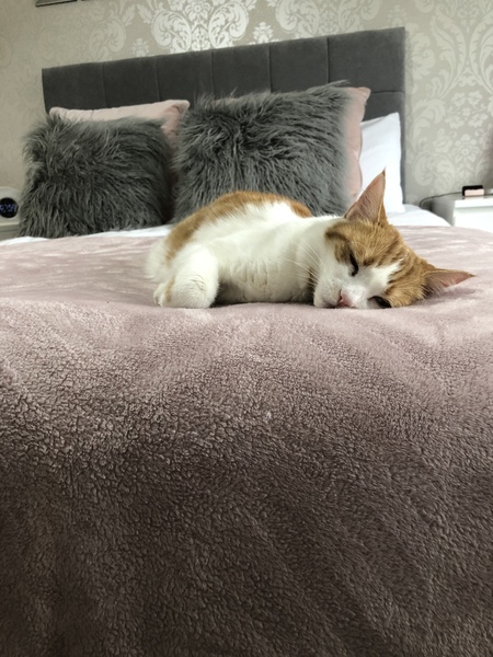 I need to go to work but.....