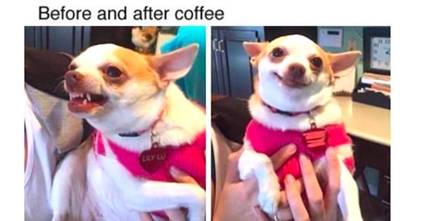 Please share your funny memes or pictures.