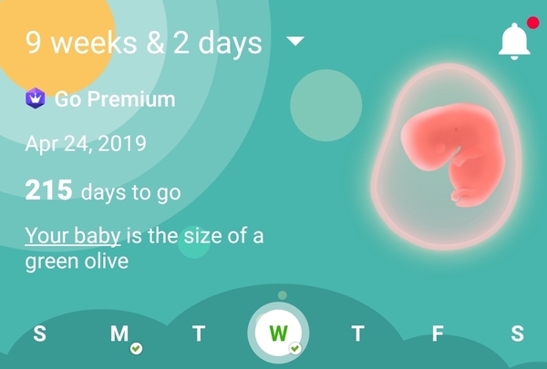 Feeling pregnant but no bfp yet