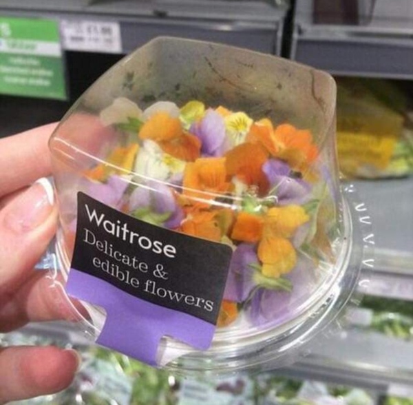 "I'm going on a waitrose picnic"