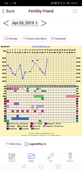 The July 19ers - The rollercoaster continues, scream if you wanna go faster