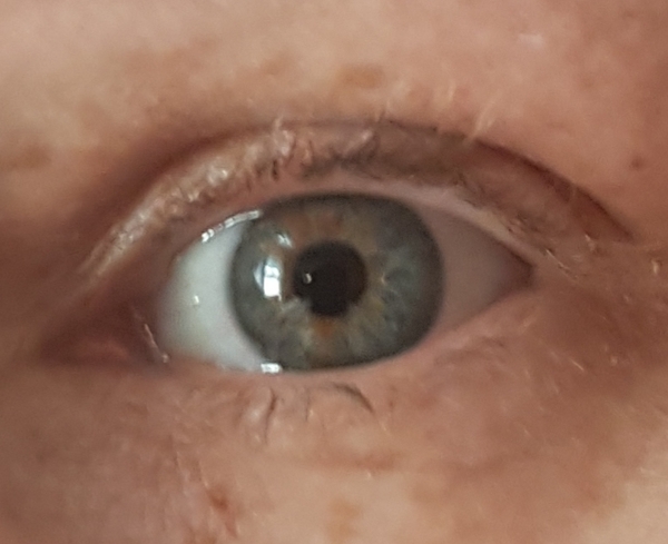 I want to ask "what colour are these eyes?"