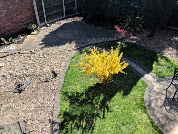 Please help me fix my garden!