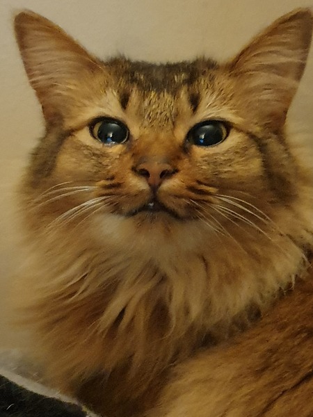 AIBU to post a happy picture