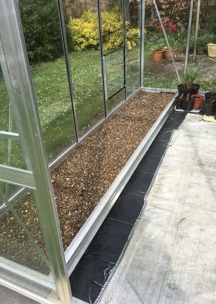 Allotment?Veg Patch Thread 13! Are we weathering the weather?