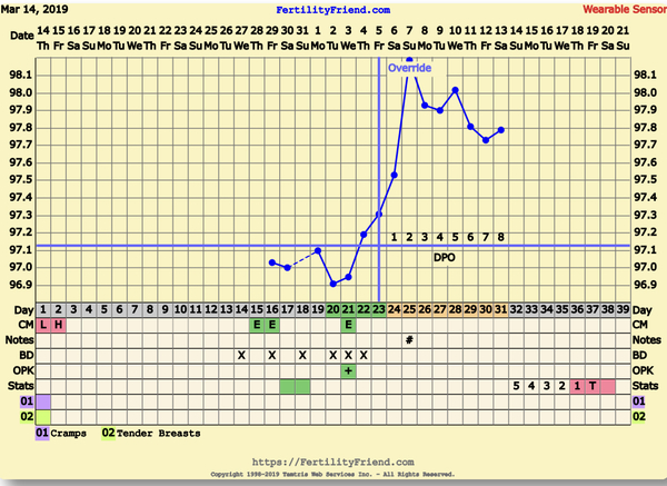 Any BBT experts?