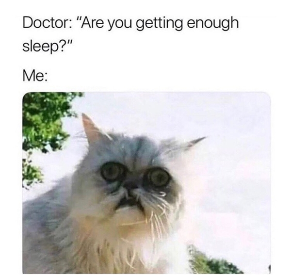 Please share your funny memes or pictures.