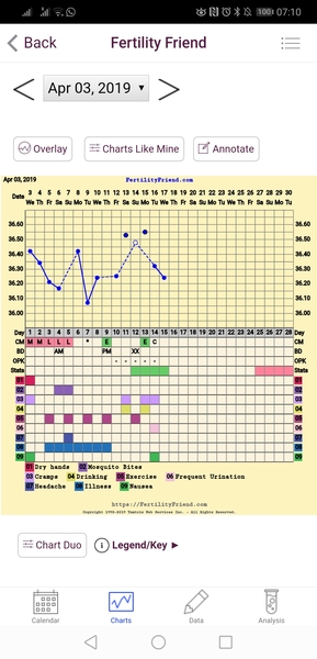 The July 19ers - The rollercoaster continues, scream if you wanna go faster